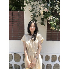 批发轻盈清爽收褶领口宽松海莉<b class='q'>连衣裙</b>