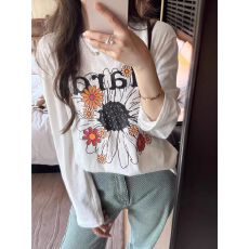 批发2026秋季21支纯棉-210克纯棉<b class='q'>秋装</b>长袖T恤女宽松上衣印花