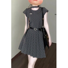 批发小个子灰色波点<b class='q'>连衣裙</b>子<b class='q'>女</b>装夏季2026新款设计感收腰a字百褶短裙