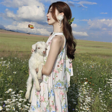 批发女装新款挂脖式<b class='q'>印花</b>花卉无袖海边度假<b class='q'>连衣裙</b>宽松型长裙