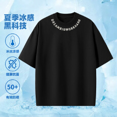 夏季字母刺绣短袖凉感立体剪裁半袖圆领休闲男士冰感潮流薄款T恤