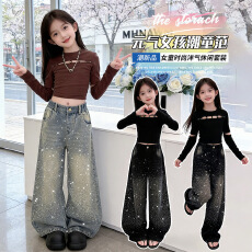 批发<b class='q'>女</b><b class='q'>童</b>爵士舞套装2026年春季新款中大童长袖T恤烫钻阔腿裤两件套潮