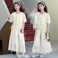 批发<b class='q'>女</b>童国<b class='q'>风</b>刺绣<b class='q'>套装</b>2026年夏季新款中大童气质风娃娃衫阔腿裙裤轻薄
