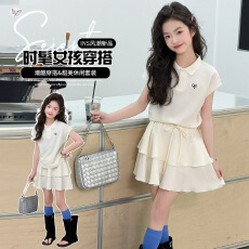 批发女<b class='q'>童</b><b class='q'>运动套装</b>2026夏季新款中<b class='q'>大</b><b class='q'>童</b>刺绣polo衫短袖T恤半身裙蛋糕裙
