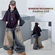 批发<b class='q'>女</b><b class='q'>童</b>夏季新款AC风复古印花牛仔阔腿裤套装中大童酷飒烧花短袖T恤