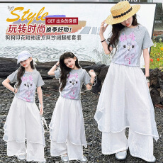 批发女童<b class='q'>夏</b>季潮酷套装2026新款儿童印花短袖网纱屁帘休闲裤女孩两件套