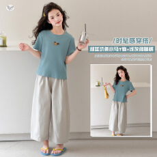 批发女童彩色小马刺绣短袖t恤女2026新款<b class='q'>夏</b>季复古减龄圆领正肩宽松上