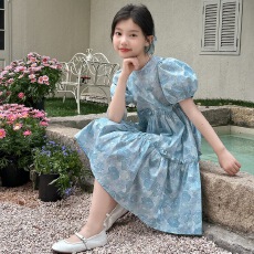 批发<b class='q'>女</b><b class='q'>童</b>夏季泡泡袖碎花<b class='q'>连衣裙</b>2026夏装新款儿童田园风女孩洋气公主裙