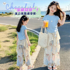 批发<b class='q'>女童</b>夏<b class='q'>日</b>套装2026新款中大童卡通收腰T恤屁帘碎花裤阔腿裤两件套