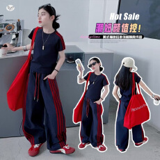 批发<b class='q'>女</b><b class='q'>童</b>短袖<b class='q'>套装</b>夏季新款女孩T恤休闲裤两件套中大童韩系上衣阔腿裤