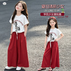 批发<b class='q'>女</b><b class='q'>童</b>夏装套装2026新款中大童印花T恤红色阔腿裤<b class='q'>长裤</b>两件套初中生