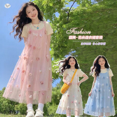 批发女童2026新款<b class='q'>夏</b>连衣裙韩系女孩洋气纱裙子儿童<b class='q'>夏</b>季时髦绝美碎花裙
