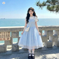 女童假两件连衣裙2026夏季新款中大童花朵刺绣收腰纱裙甜美蓬蓬裙