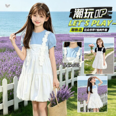 批发女童背带裙两件套<b class='q'>儿童</b>泡泡袖内搭T恤蓬蓬蛋糕裙中大童夏装连衣裙