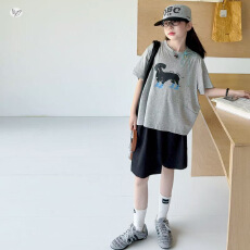 批发女童休闲套装2026<b class='q'>夏</b>季新款中大童小狗印花T恤阔腿五分裤轻薄<b class='q'>夏</b>装