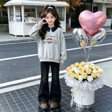 批发女童卫衣<b class='q'>春</b>秋装2026新款中大童女孩翻领卡通上衣韩版时髦童装秋款