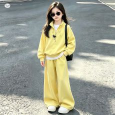 批发女童<b class='q'>套装</b>2026秋季新款中大童半拉链立领<b class='q'>卫衣</b>阔腿裤<b class='q'>儿童</b>秋装运动服