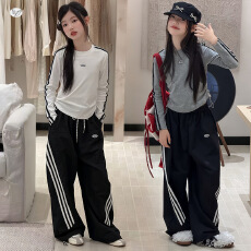 批发<b class='q'>女</b><b class='q'>童</b>套装2026秋新款中大童抽绳收腰T恤阔腿裤拉条两件套儿童秋装
