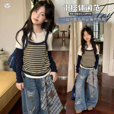批发<b class='q'>女</b>童<b class='q'>秋</b>季<b class='q'>套装</b>2026新款中大童假两件条纹长袖T恤卡通牛仔裤两件套