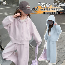 批发<b class='q'>女</b><b class='q'>童</b>套装2026秋新款中大童刺绣短款连帽外套阔腿裤两件套儿童秋装