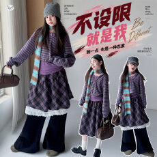 批发<b class='q'>女</b><b class='q'>童</b>秋冬韩版条纹连帽卫衣叠穿格子裙奥粒绒阔腿裤休闲直筒裤外穿