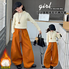 批发<b class='q'>女</b><b class='q'>童</b>冬季韩版2026新款连帽麻花针织毛衣加绒气球弯刀裤两件套潮
