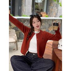 批发针织开衫外套女高级感穿搭初秋休闲百搭上衣 秋款上新 法式 韩系