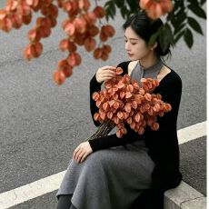 批发<b class='q'>高档</b>女装今年流行穿搭名媛风两件套秋冬季修身气质开衫<b class='q'>连衣裙</b>套