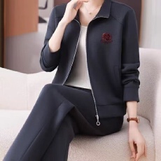 批发春<b class='q'>秋</b>套装女2026春<b class='q'>秋</b>新款百搭时尚大码减龄妈妈卫衣两件套酒红色