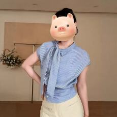 批发<b class='q'>大码</b>法式设计感飘带蓝色格子上衣女夏季新款胖妹妹小众不规则衬衫
