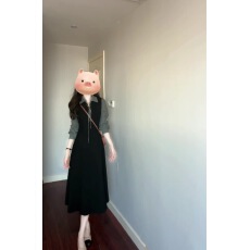 批发2026秋冬新款Polo领休闲<b class='q'>连衣裙</b>女高级感显瘦气质收腰长袖卫衣裙