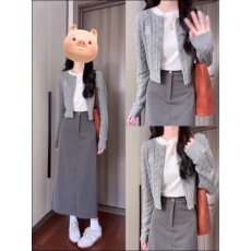 批发早秋的高级定制三件套装韩系麻花<b class='q'>毛衣</b>针织<b class='q'>开衫</b>短袖上衣高腰半身裙