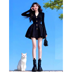 批发秋季气质名媛高端精致宴会晚<b class='q'>礼服</b>高级感v领收腰赫本风黑色连衣裙