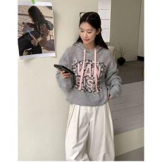 批发档口上新 2026年秋冬新款女<b class='q'>装</b>宽松连帽针织衫字母印花毛衣