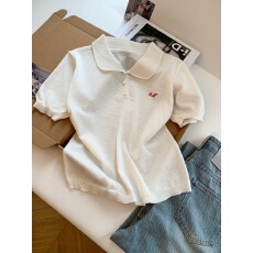 批发实拍～2026年<b class='q'>夏</b>季娃娃翻领刺绣简约气质百搭宽松韩版冰丝上衣