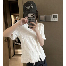 批发法式v领刺绣花边<b class='q'>短袖</b><b class='q'>衬衫</b>女高级感轻奢减龄洋气上衣夏