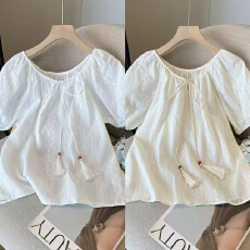 批发雪纺短袖t恤女夏季2026新款刺绣宽松显瘦圆领设计感别致体恤上衣