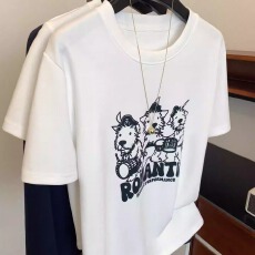 批发韩版<b class='q'>纯棉</b>100%棉 2026年夏装短袖<b class='q'>T</b><b class='q'>恤</b>女印花