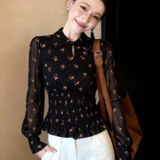 批发绝美黑色<b class='q'>雪纺</b><b class='q'>上衣</b>女2026年高端洋气压褶立领收腰印花半透薄纱小衫