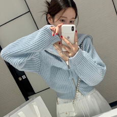 批发韩国东大门春秋新款大翻领拉链针织衫短款小个子毛衣外套女