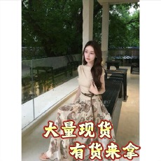 批发塞纳河畔法式优雅轻奢收腰短袖上衣+经典佩<b class='q'>斯</b>利印花半身裙套装