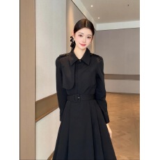 批发优雅气质2026早秋法式黑色设计感法式修身<b class='q'>时尚</b>收腰显瘦A字连衣裙