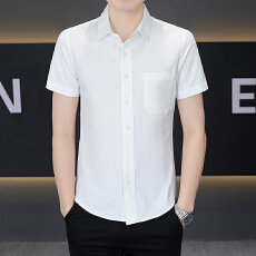 广州货100%棉纯色纯棉衬衫男士短袖免烫商务休闲帅气衬衣夏季寸衫