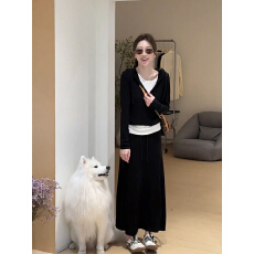 批发冷淡系韩系chic别致穿搭一整套女早秋装搭配连帽卫衣裙子两件套装