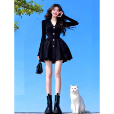 批发秋季气质名媛高端精致宴会晚<b class='q'>礼服</b>高级感v领收腰赫本风黑色连衣裙