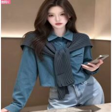 批发2026秋季新款百搭长袖遮肉显瘦<b class='q'>衬衫</b>披肩宽松外套女