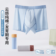 批发10A抑菌青少年发育期内裤加长防磨腿舒适柔软平角裤桑蚕丝抗菌裆