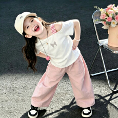 批发【银色蝴蝶】<b class='q'>女</b><b class='q'>童</b>夏季套装新款短袖休闲粉色裤子夏装两件套潮童