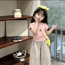 批发女童<b class='q'>夏</b>季薄款套装儿童印花短袖波点阔腿裤两件套休闲百搭童装爆款