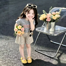批发女童<b class='q'>夏</b>季套<b class='q'>装</b>新款印花短袖<b class='q'>T</b><b class='q'>恤</b>宝宝波点短<b class='q'>裤</b>中大童洋气两件套爆款